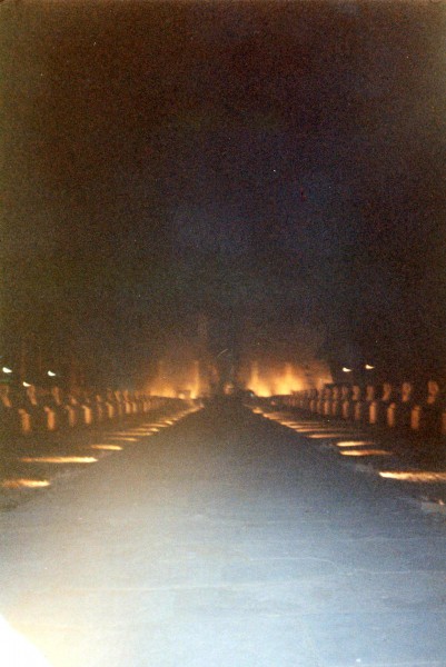 La Avenida de las Esfinges de noche.