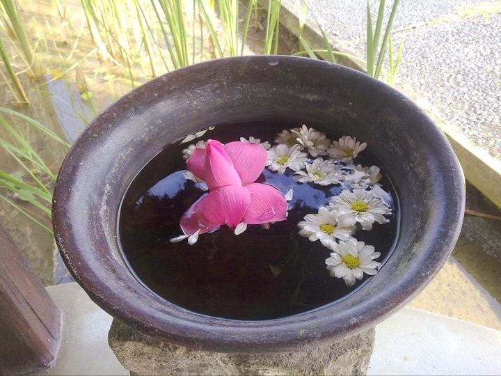 Eine Schale mit schwimmenden Blütenblättern in Waka Gangga.