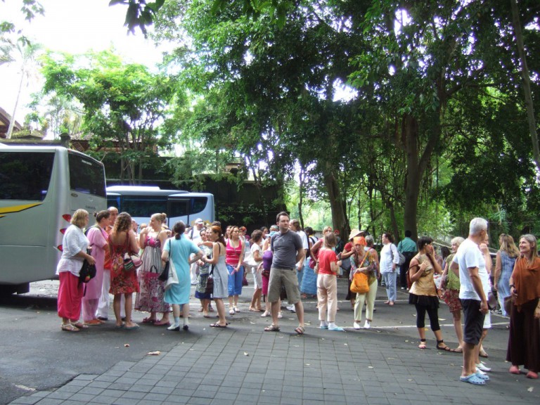We arrived at the entrance to the famous Monkey Forest.
