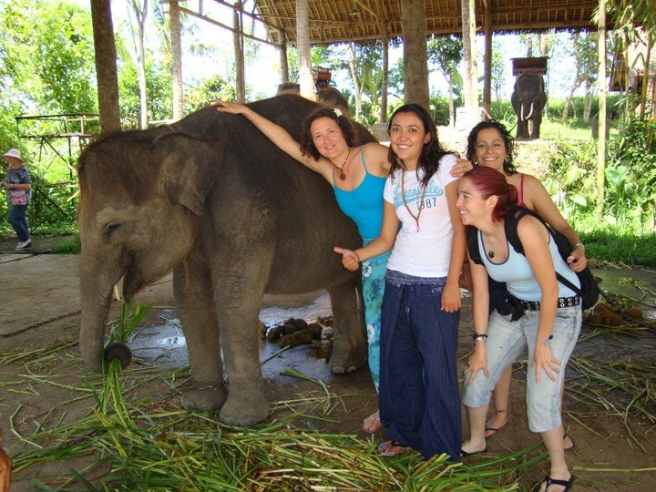 Dani, al.aktum, Sahim y Sharim visitan unos elefantes.