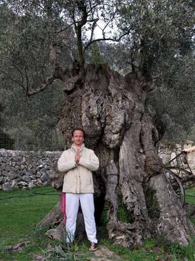 Ralph and an ancient Olive Tree Being make powerful Guardians