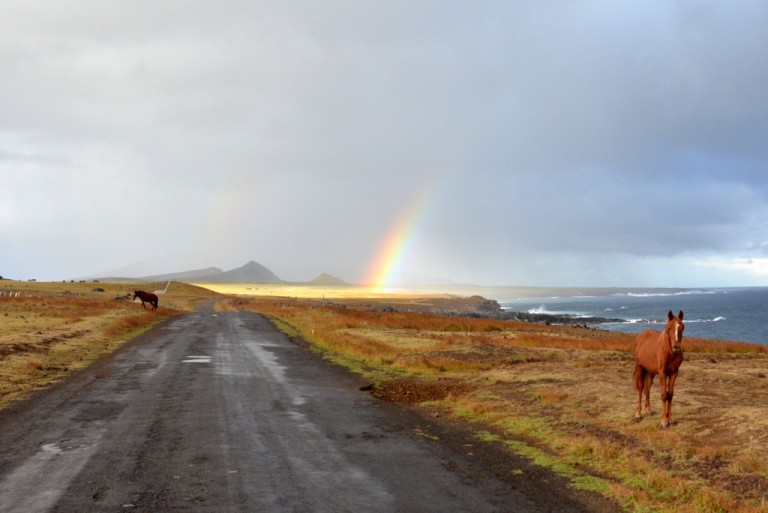 Solara and Emanáku arrived a week early and drove around the island searching for the right site for our ceremony. As they approached Tongariki, a rainbow appeared.