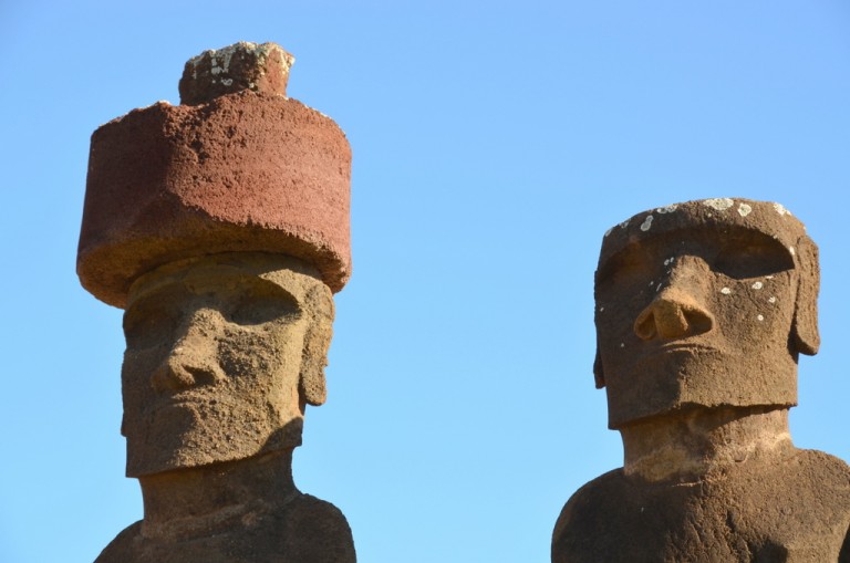 Eine große Vogelkolonie nistet im Haarknoten des linken Moai