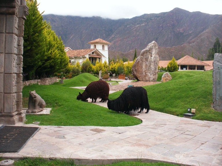 Alpacas are also known as "Peruvian lawnmowers".