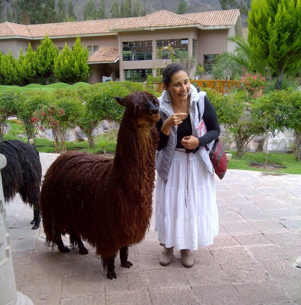 Sara was a favorite of the alpacas.